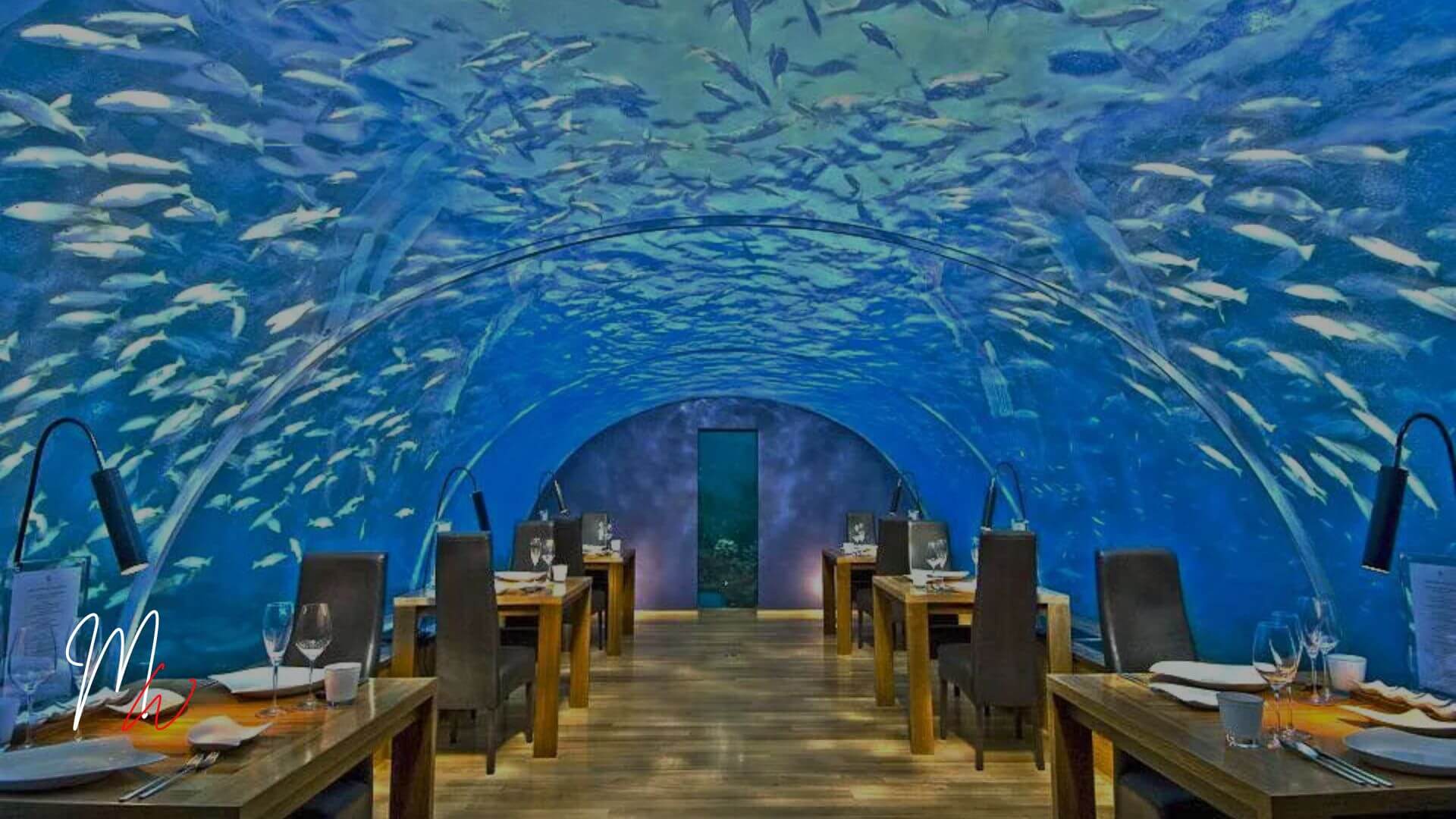 Los restaurantes más diferentes